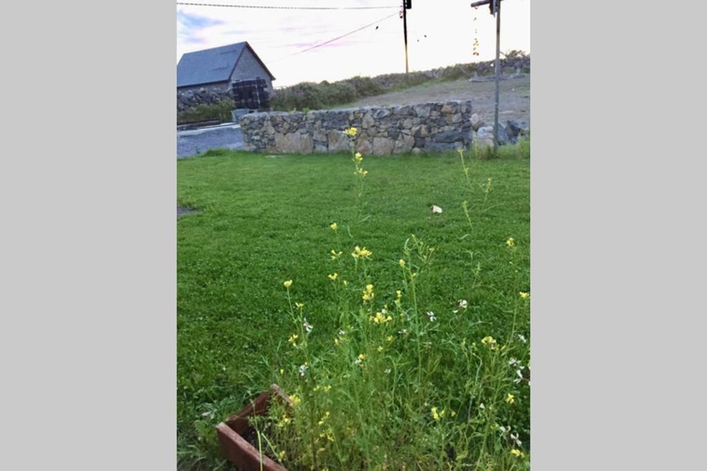Tigh Noor - Escape To Kinvara By The Sea! 戈尔韦 外观 照片